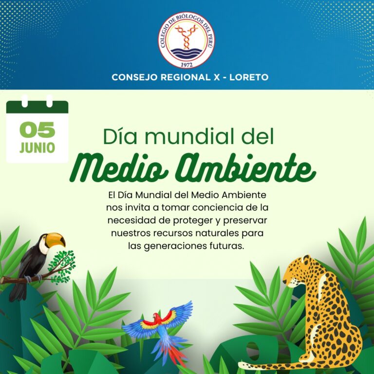 DIa mundial del medio ambiente